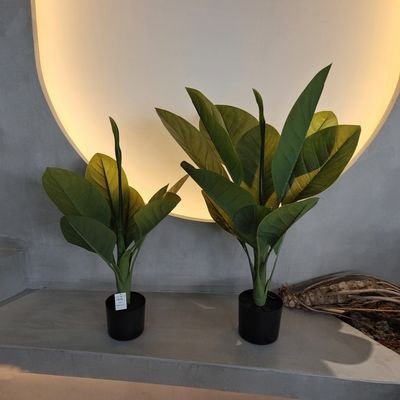 주문 오래 지속되는 플라스틱 재료 인공 식물 70cm 인공 Dieffenbachia 나무 online manufacture