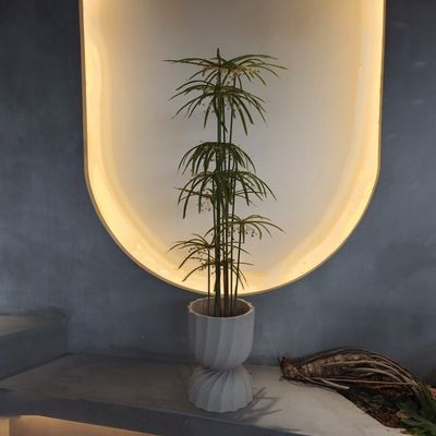 주문 자외선 저항성 플라스틱 가짜 식물 인위적 인 포도상나무 online manufacture