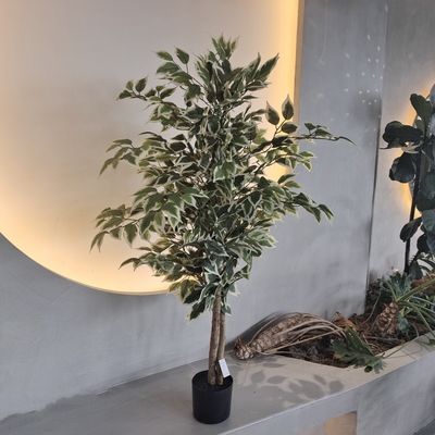 주문 소알레르기성 플라스틱 가짜 식물 곤충 저항성 120cm online manufacture