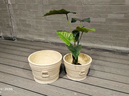 주문 당신의 정원에 대한 완벽한 섬유 점토 식물을 발견하십시오 online manufacture