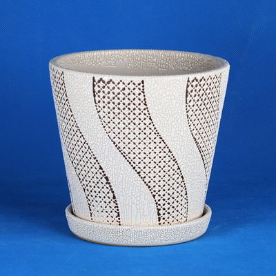 주문 화려 한 식물 의 비밀 online manufacture