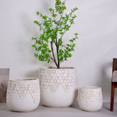주문 작은 환경 친화적 인 꽃 냄비 실내 / 야외 심기 식탁 / 정원 디자인 패키지 상자 일상 사용 online manufacture