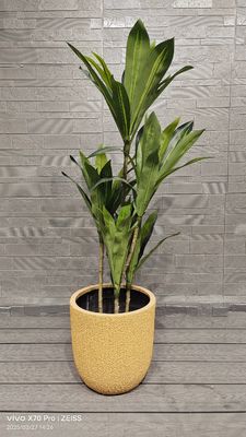 주문 노란 꿀개 멜론 껍질 패턴 둥근 섬유 점토 농장 정원 조경 프로젝트 online manufacture