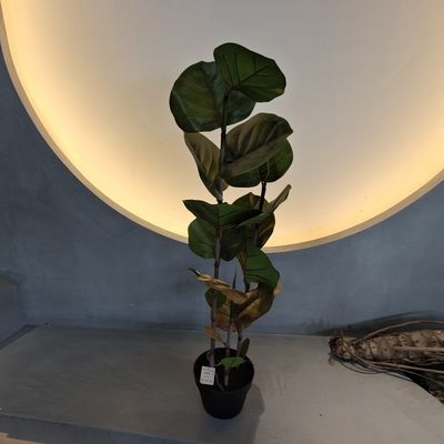 100cm 인공 코콜로바 나무 자외선 저항성