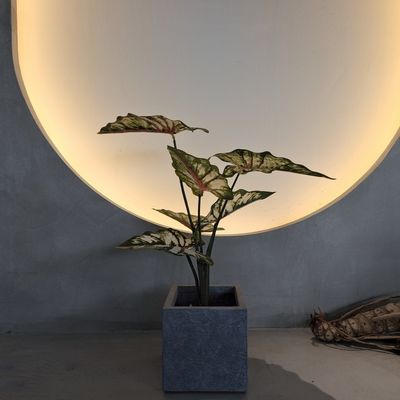 실내 / 야외 장식용으로 생생한 녹색 플라스틱 인공 식물 70-120cm