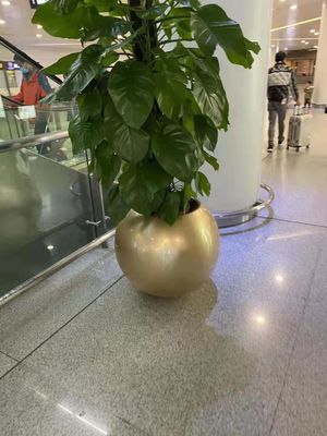 이름