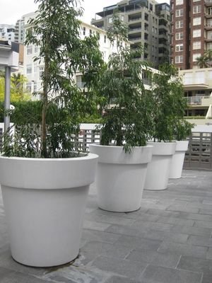 이름