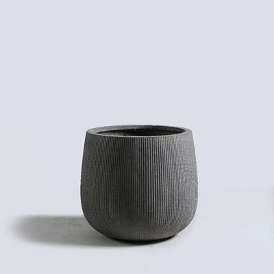이름
