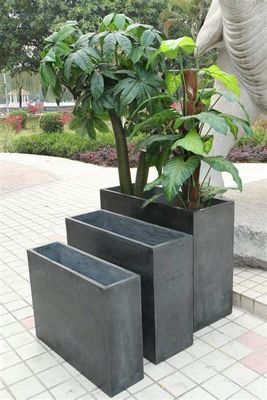 이름